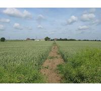 UK Photo Print A4 / 12"x8" Footpath to Hammond's Corner New Romney This path leads from th c2011