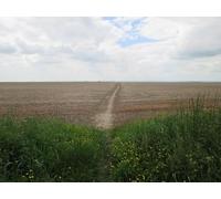 UK Photo Print A4 / 12"x8" Footpath to Idstone over fallow field Why this huge field c2014