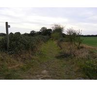 UK Photo Print A4 / 12"x8" Footpath to Law's Drift Kirton/TM2739 Off Kirton Road c2011