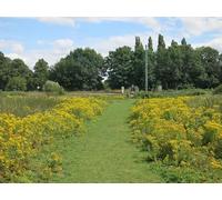 UK Photo Print A4 / 12"x8" Footpath to Offord Cluny Offord D'Arcy Heading towards the East c2014