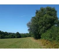 UK Photo Print A4 / 12"x8" Footpath to Partridge Lane Best Beech Hill As seen from a footp c2013