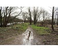 UK Photo Print A4 / 12"x8" Footpath to St Helena Island Glenluce c2014