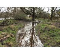 UK Photo Print A4 / 12"x8" Footpath to St Helena Island Glenluce Over on the left is the W c2014