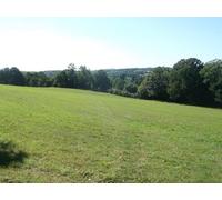 UK Photo Print A4 / 12"x8" Footpath to Tidebrook Best Beech Hill This grassland path is he c2013