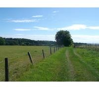 UK Photo Print A4 / 12"x8" Footpath to Tidebrook Road Best Beech Hill This path leads from c2013