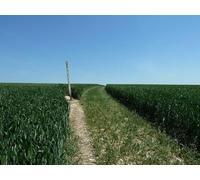 UK Photo Print A4 / 12"x8" Footpath waymarker on Long Down Eartham The path is the cropped c2012
