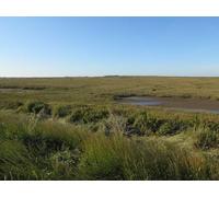 UK Photo Print A4 / 12"x8" Ford between creeks Burnham Deepdale With a path out into the m c2015