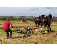 UK Photo Print A4 / 12"x8" Getting stuck in - Boverton Lining up for a return cut at the A c2010