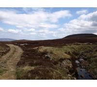 UK Photo Print A4 / 12"x8" Give Way gave way Halfway Bridge At the minor road junction wit c2010