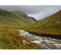 UK Photo Print A4 / 12"x8" Glen Rosa Cladach We could see the white objects on the hillsid c2010