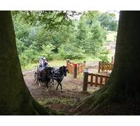 UK Photo Print A4 / 12"x8" Go for it! Rhostyllen Competitors in a carriage driving champio c2010