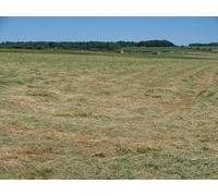 UK Photo Print A4 / 12"x8" Grass becoming hay Kingham The grass has been cut and is drying c2010