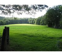 UK Photo Print A4 / 12"x8" Green pastures at Anstead Brook stud Ansteadbrook Hearne Copse c2010