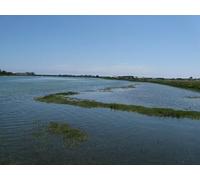 UK Photo Print A4 / 12"x8" High tide on the River Adur Shoreham-By-Sea On the right is Sho c2012