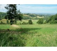 UK Photo Print A4 / 12"x8" Into open fields Snowshill Emerging from Dulverton Woods, the b c2010