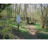 UK Photo Print A4 / 12"x8" Into the woods Snowshill From the minor road a path leads into c2010