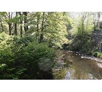 UK Photo Print A4 / 12"x8" Iron Bridge Castleford This disused railway and bridge cross th c2011
