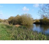 UK Photo Print A4 / 12"x8" Island in the river Stratford-upon-Avon Seen from the river ban c2011
