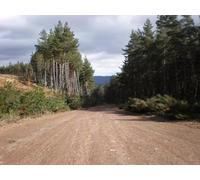 UK Photo Print A4 / 12"x8" Junction on forestry road going east from Cnoc a' Bhuachaille L c2010