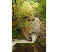 UK Photo Print A4 / 12"x8" Keep away from the edge! Allt Forgan Looking down a waterfall n c2008