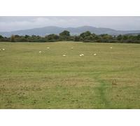 UK Photo Print A4 / 12"x8" Kempsey Common Stonehall/SO8848 Strictly controlled by a set o c2010