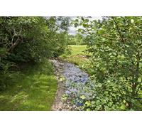 UK Photo Print A4 / 12"x8" Lane down to Partridgeclose Bridge Cornsay View south down this c2015