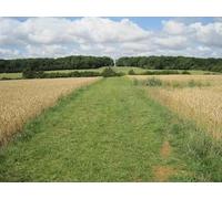 UK Photo Print A4 / 12"x8" Lincolnshire footpath Ashby de la Launde Looking West towards M c2011