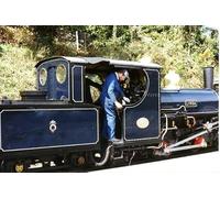 UK Photo Print A4 / 12"x8" Linda' at Tan-y-bwlch Rhyd An 1893 Hunslet 2-4-0 saddle tank lo c1994