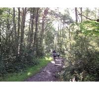 UK Photo Print A4 / 12"x8" London Loop in Sparrow Wood Orpington The long distance path le c2011