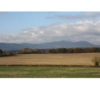 UK Photo Print A4 / 12"x8" Long Covert Holdfast/SO8537 Viewed from the path up Heath Hill c2010