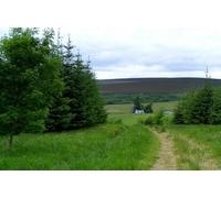 UK Photo Print A4 / 12"x8" Looking Down the Hill from Mullachard Shenval/NJ2129 Mullachar c2010