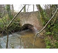 UK Photo Print A4 / 12"x8" Looking down the river Yeo from a bridge in Dymsdale Wood Alwin c2014