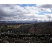 UK Photo Print A4 / 12"x8" Looking SE across clear fell to ridge above Divach Polmaily c2010