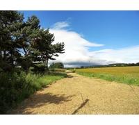 UK Photo Print A4 / 12"x8" Looking west along the old railway Brandon This is the Brandon c2012