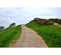 UK Photo Print A4 / 12"x8" Malvern Hills : Footpath Great Malvern Looking along the path w c2014