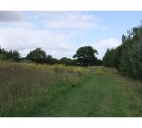 UK Photo Print A4 / 12"x8" Meadow within Great Notley Country Park Bartholomew Green This c2010