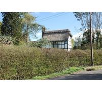 UK Photo Print A4 / 12"x8" Medieval Eashing Bridge Godalming 13th century stone bridge bui c2012