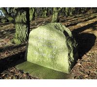 UK Photo Print A4 / 12"x8" Memorial stone at Beacon Ring Leighton/Tre'r llai The trees on c2010