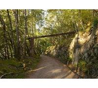 UK Photo Print A4 / 12"x8" Metal bridge across the old railway, by Loch Oich Aberchalder T c2015
