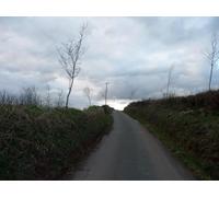 UK Photo Print A4 / 12"x8" Mid Devon : Country Road Coombe/ST0017 This road heads from Up c2010