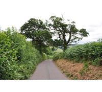 UK Photo Print A4 / 12"x8" Mid Devon : Country Road Little Silver/SS9109 A downhill road c2010