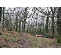 UK Photo Print A4 / 12"x8" Mid Devon : Rifton Wood Stoodleigh/SS9218 Following the path h c2013