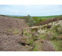 UK Photo Print A4 / 12"x8" Middle Clough, approaching the wooded section, Meltham The wood c2015