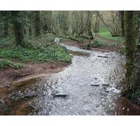 UK Photo Print A4 / 12"x8" Mounton Brook from the rustic bridge, Coppice-mawr Itton/ST499 c2010