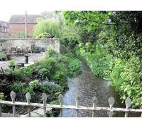 UK Photo Print A4 / 12"x8" Nascent River Avon Knowle/SU1660 Running parallel to River Str c2012
