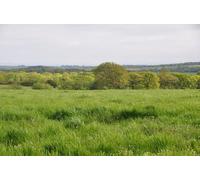 UK Photo Print A4 / 12"x8" North Devon : Countryside Scenery Meshaw A public footpath head c2012
