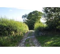 UK Photo Print A4 / 12"x8" North Devon : Farm Track Alswear A farm track and footpath head c2015