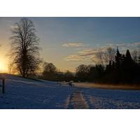 UK Photo Print A4 / 12"x8" North Devon : Small Bridge Waddicombe A small bridge in the gar c2014