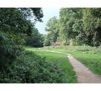 UK Photo Print A4 / 12"x8" North Devon : Tarka Trail & Lee Bridge Ossaborough Looking alon c2014
