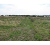 UK Photo Print A4 / 12"x8" North Downs Way towards Bramling Road Barham/TR2050 The long d c2010